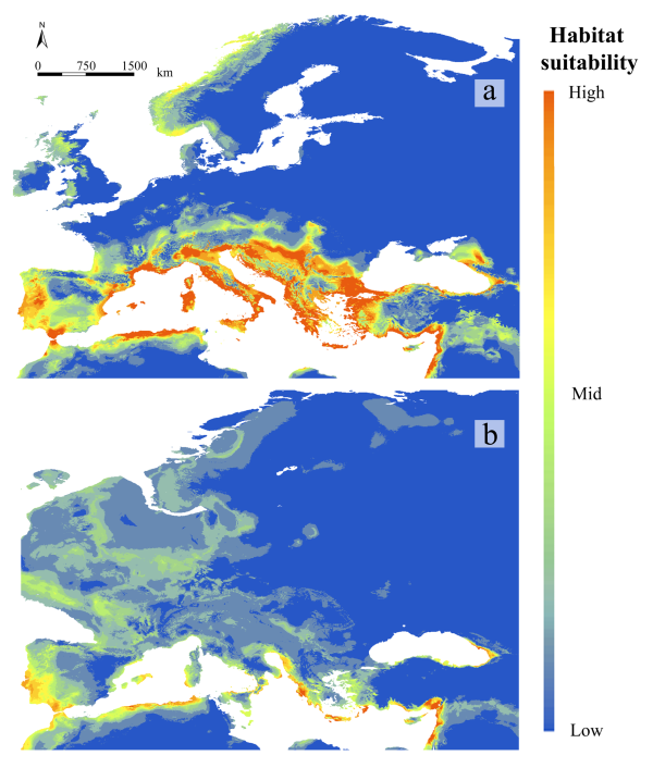 Mappe che mostrano l'idoneità all'habitat di Myotis capaccinii dedotta dai modelli di nicchia ecologica per le condizioni climatiche attuali (a) e dell'ultimo massimo glaciale (b)