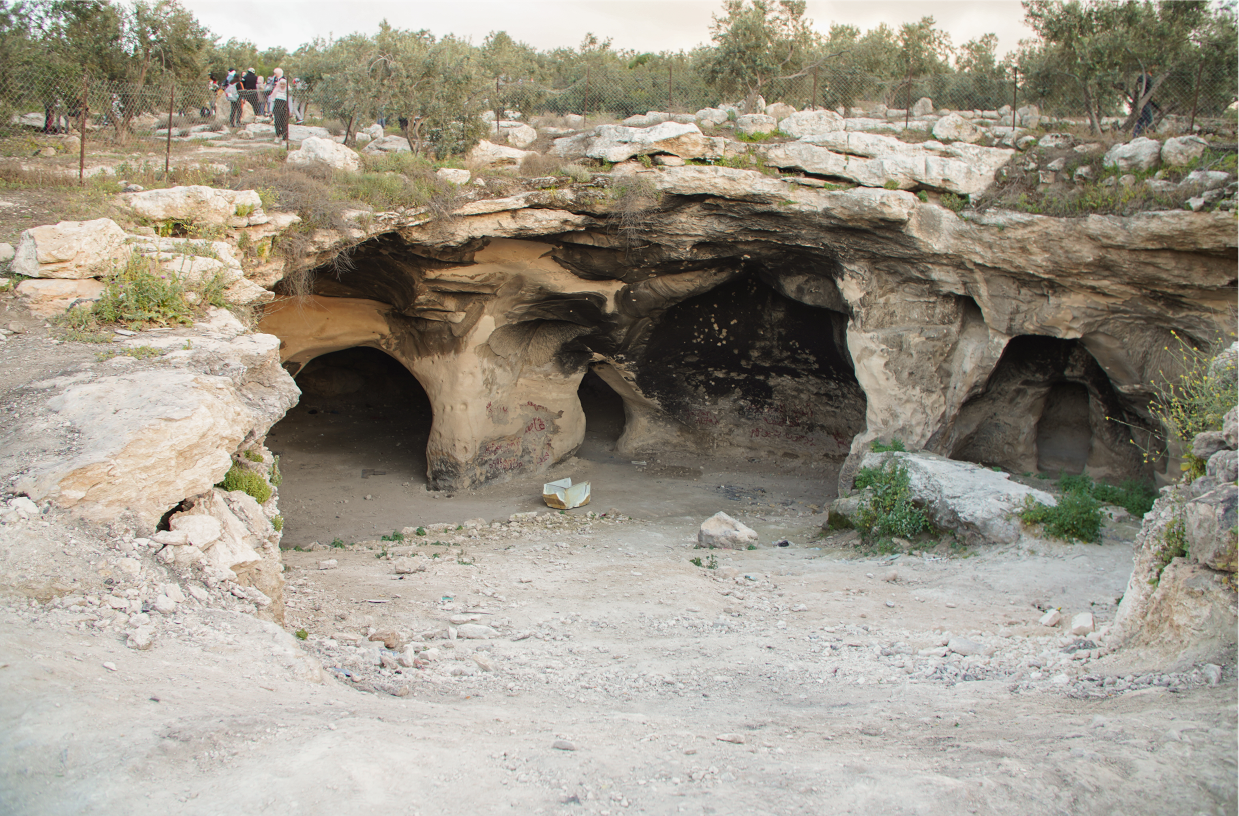 L'immagine mostra un complesso di grotte naturali scavate nella roccia, queste hanno aperture ampie e irregolari, e il terreno circostante è roccioso con qualche vegetazione sparsa. In primo piano si vedono tre grandi aperture che conducono all'interno delle grotte. La roccia ha diverse tonalità di grigio e beige, con segni di erosione e depositi minerali visibili. L'interno delle grotte appare scuro, e ci sono alcune scritte e segni sulle pareti, probabilmente graffiti. L'ambiente circostante è caratterizzato da vegetazione bassa, principalmente cespugli e piccoli alberi. Le rocce e il terreno mostrano segni di degrado naturale, con massi e detriti sparsi intorno. L'ambientazione e la struttura delle grotte suggeriscono che potrebbero essere di origine naturale, ma possibilmente utilizzate o modificate dall'uomo nel corso del tempo.